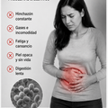 Candida Cleanse 60 Cápsulas - Limpieza Profunda Garantizada