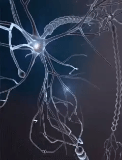 Suplemento Neurazenx Nutrients para Nervios Relajados