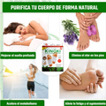 50 Parches Detox Kinoki