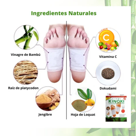 50 Parches Detox Kinoki