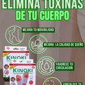 50 Parches Detox Kinoki