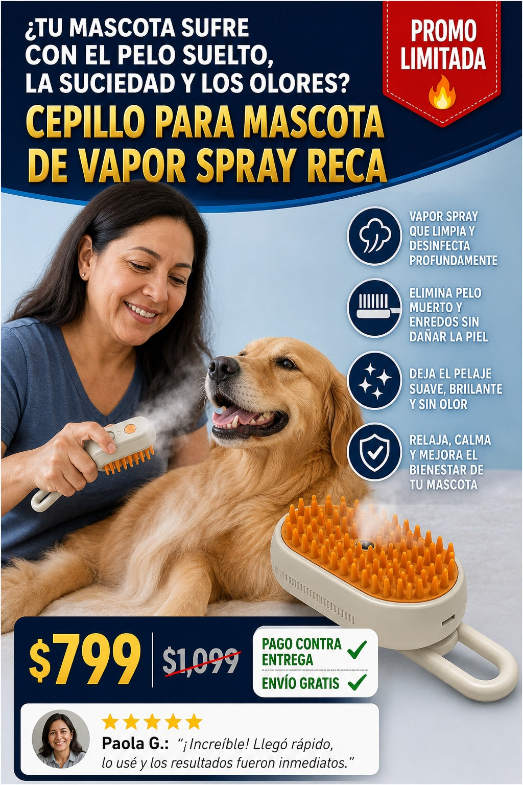 Cepillo Para Mascota De Vapor Spray Reca - imagen 3