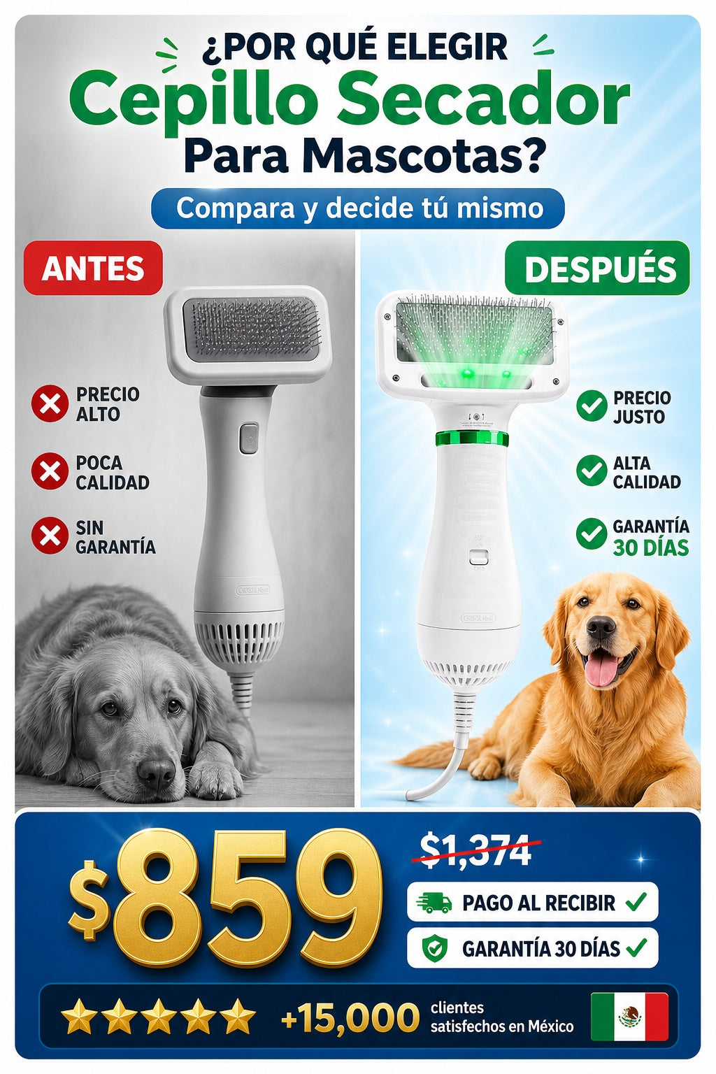 Cepillo Secador Para Mascotas - imagen 4