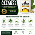 Suplemento Candida Cleanse 60 Capsulas - imagen 5