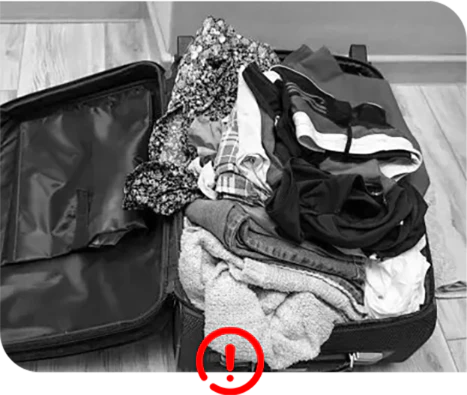 Bomba Al Vacio Multiusos Bolsas