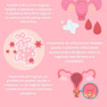 Probioticos Para La Salud Intimafemenina